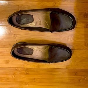 Earth Origin by Earth